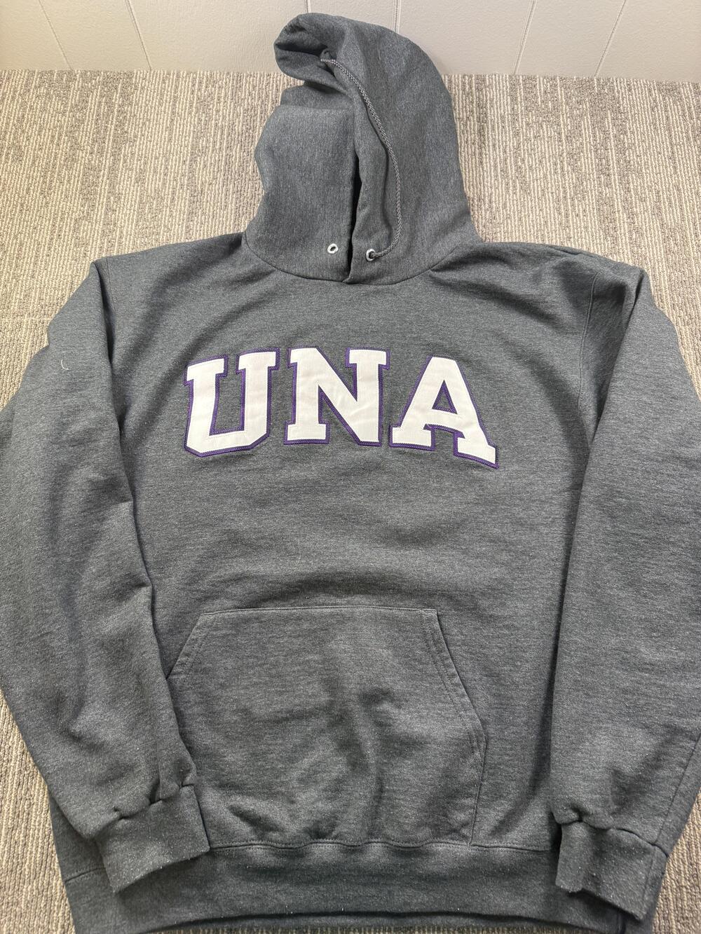 Champion Hoodie Mens Large Gray Pullover Fleece Sweatshirt UNA College Graphic